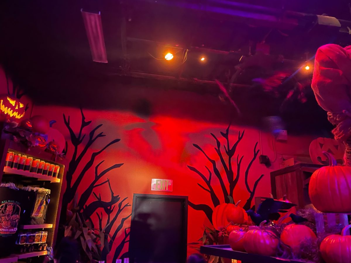 hhn 31 tribute store entrance and first room 5788
