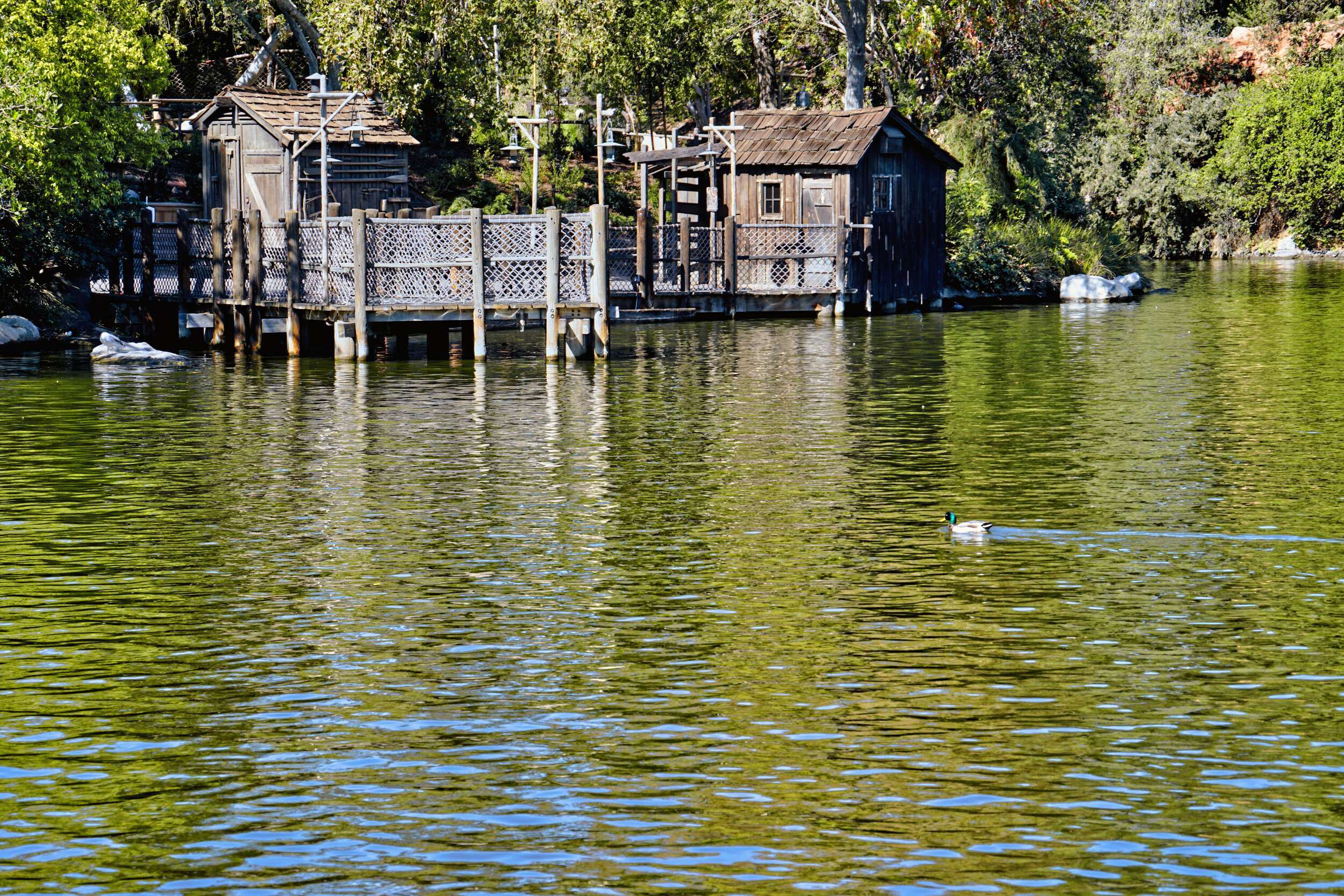 DL FR Rivers of America stock