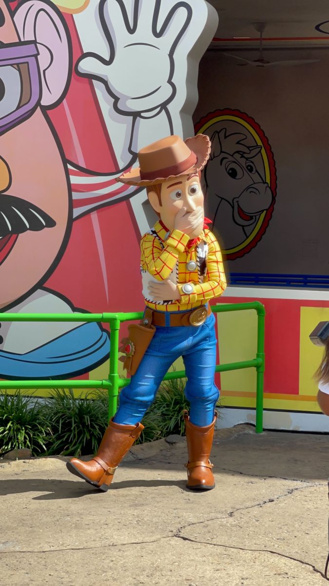 Toy Story Meet and Greet Return Toy Story Land1