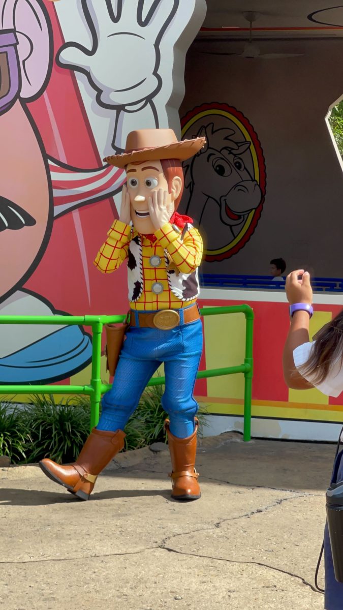 Toy Story Meet and Greet Return Toy Story Land2