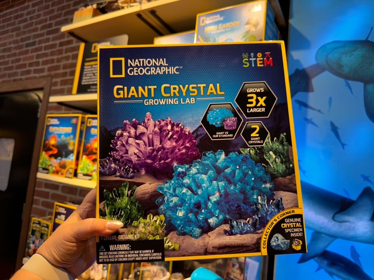 National Geographic store disney springs