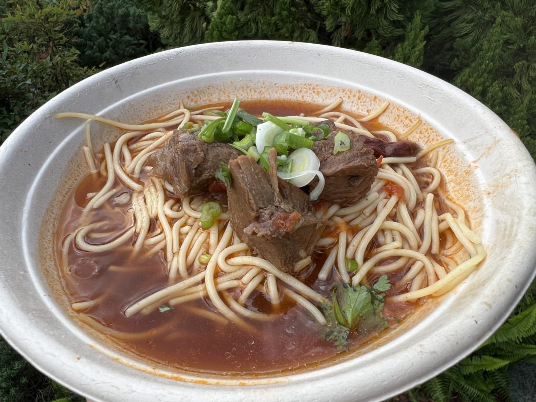 beef and noodle soup bowl 2