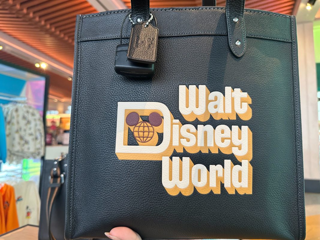 wdw black coach collection 2618