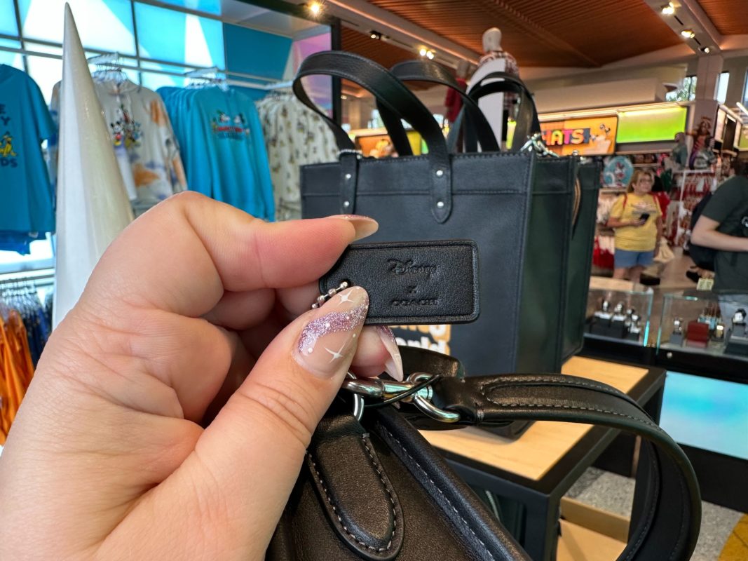 wdw black coach collection 2650