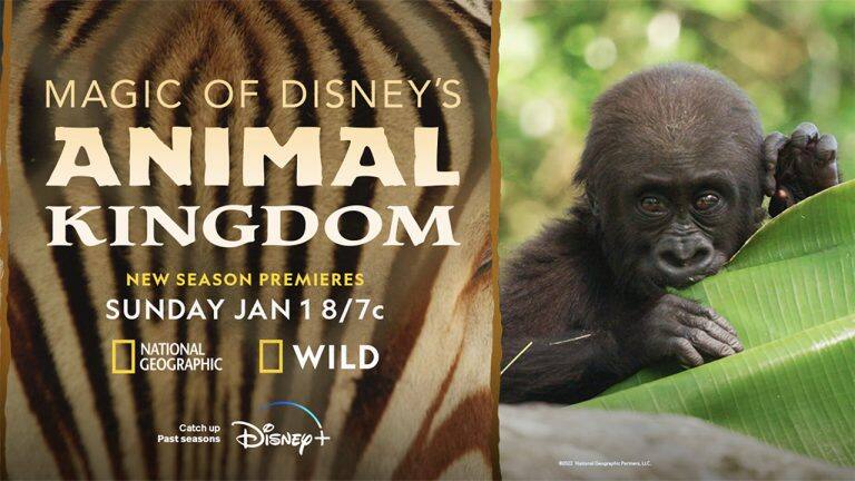 Magic of Disneys Animal Kingdom season 2 1