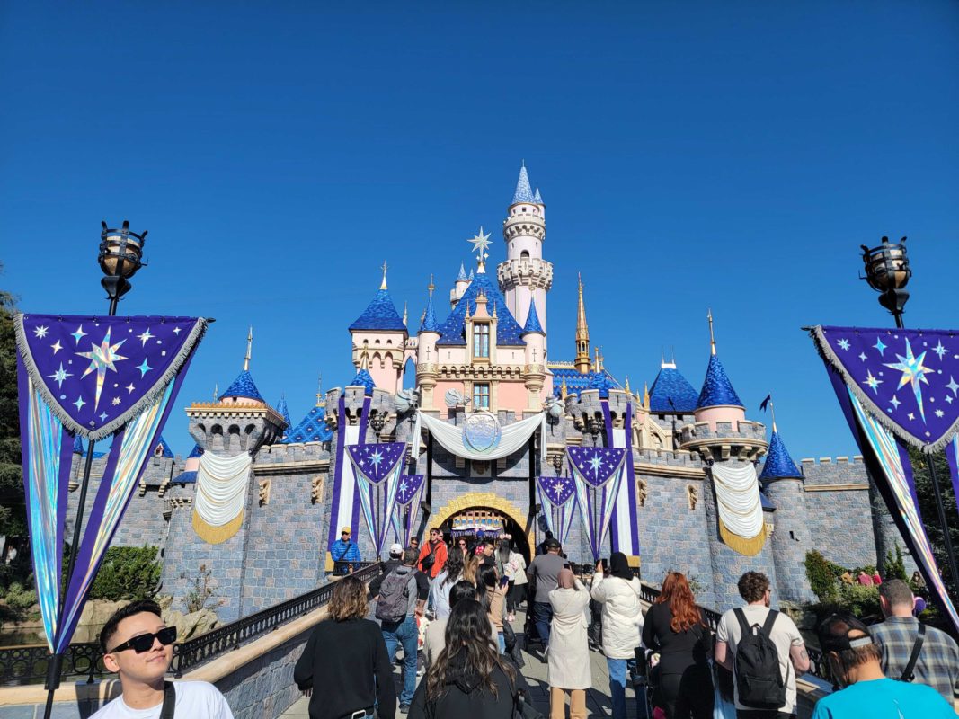 DL MoreBuntingBannersDisney100SleepingBeautyCastle2