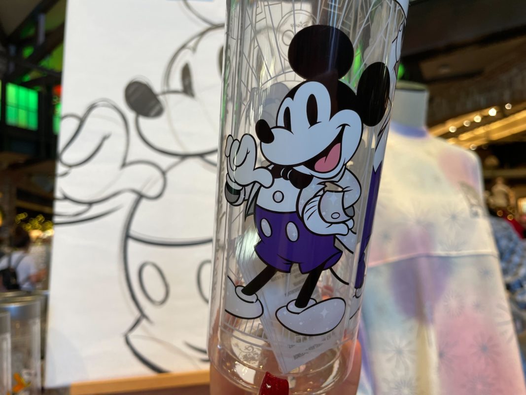 Disney100 merch water bottle 6