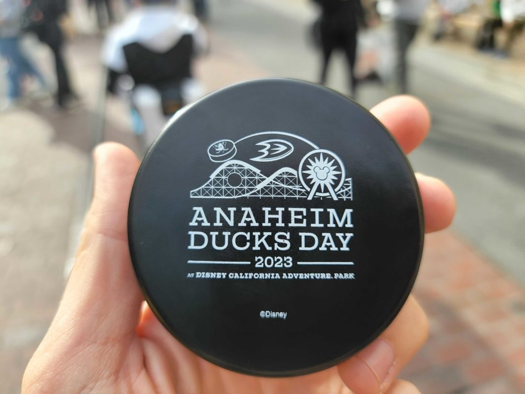 Disneyland anaheim ducks day 2023 101342