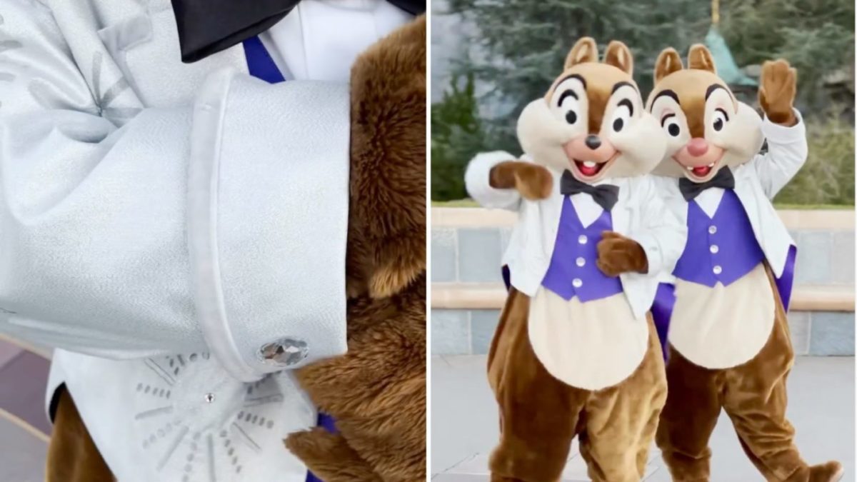 chip and dale 100th costumes collage