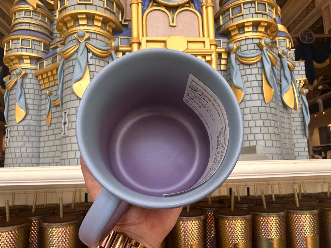 New Ombre Mugs Showcase Four Mickey Friends Duos at Walt Disney World 00001