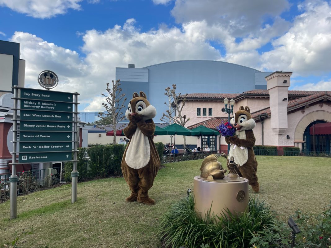 hollywood studios chip and dale 4016