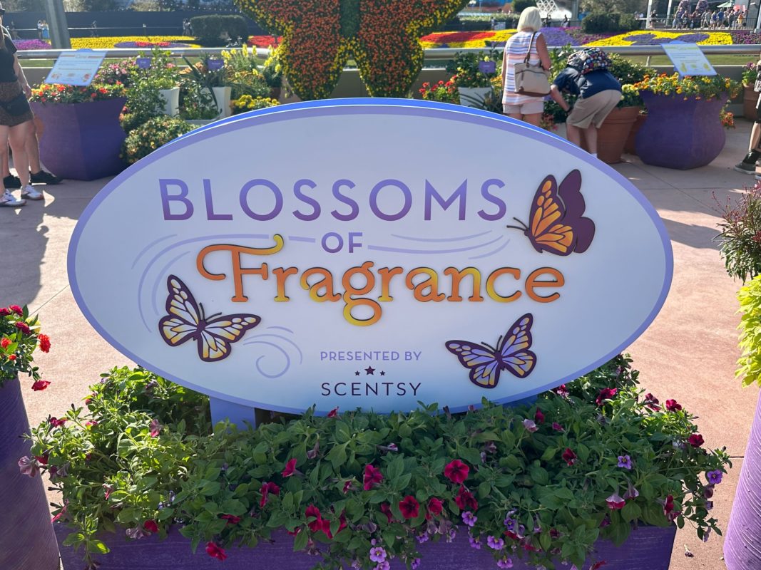 2023 blossoms of fragrance scentsy 0213