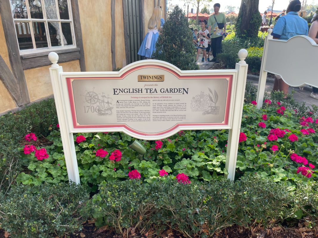 2023 english tea garden 6993