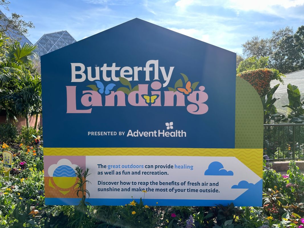 2023 epcot butterfly landing 0137