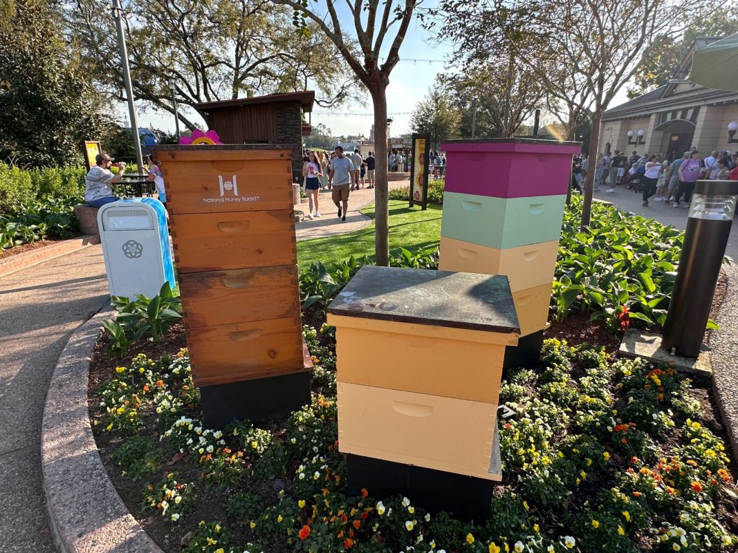 2023 epcot honey bee stro 0268