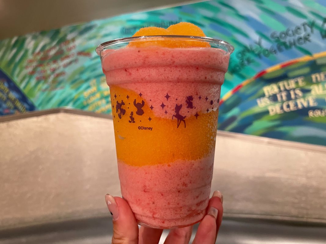 2023 epcot sunshine seasons strawberry mango slush 2938