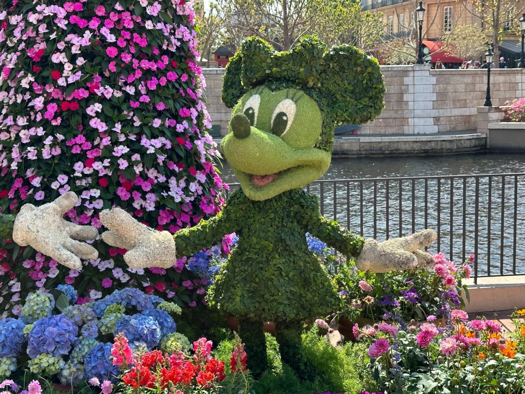 2023 mickey minnie topiary 6532