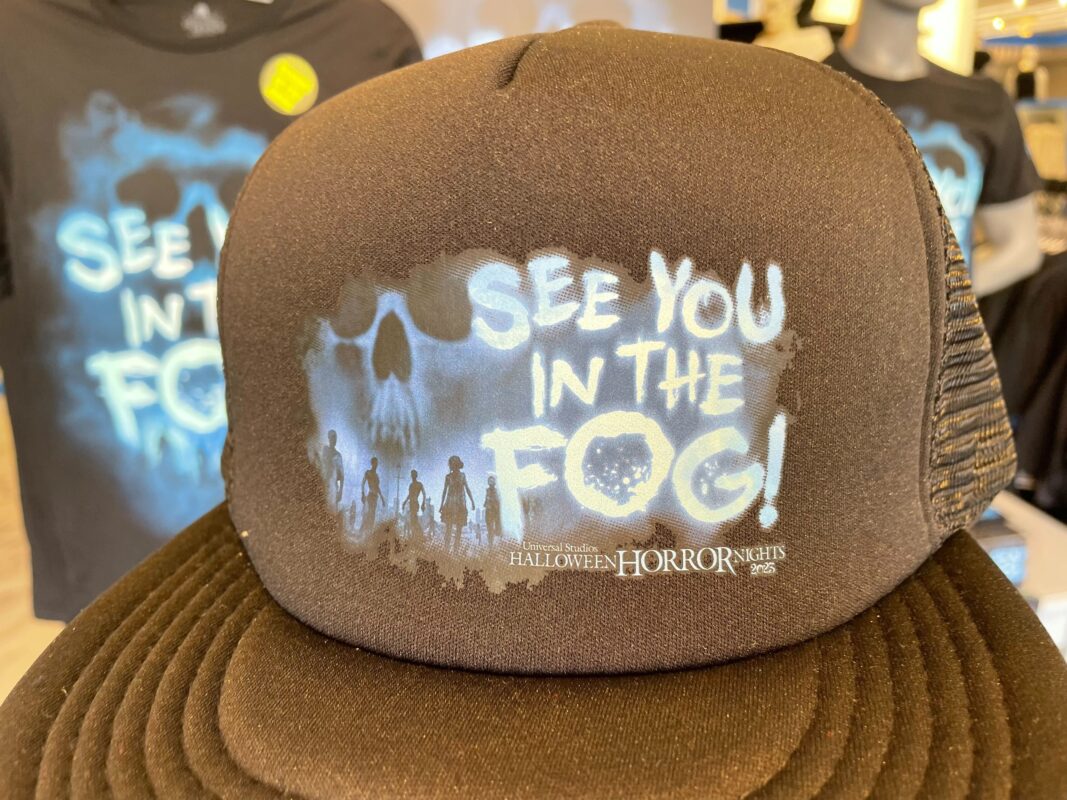 hhn32 see you in the fog hat 3