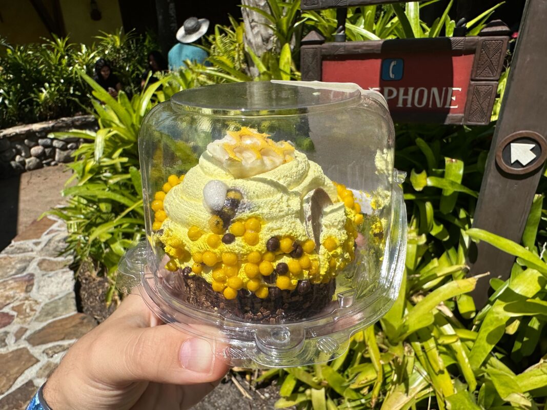 honey bee cupcake mousse earth day 2023 4968