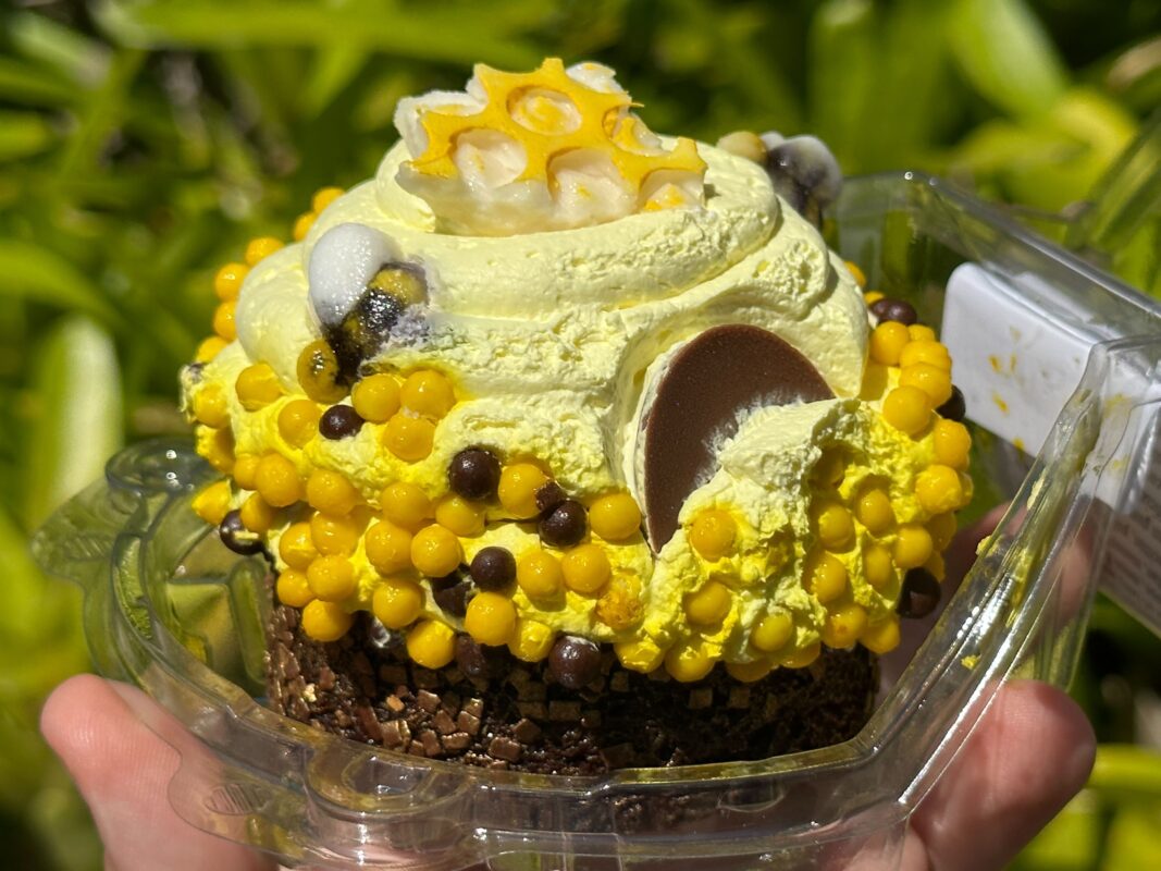 honey bee cupcake mousse earth day 2023 4977