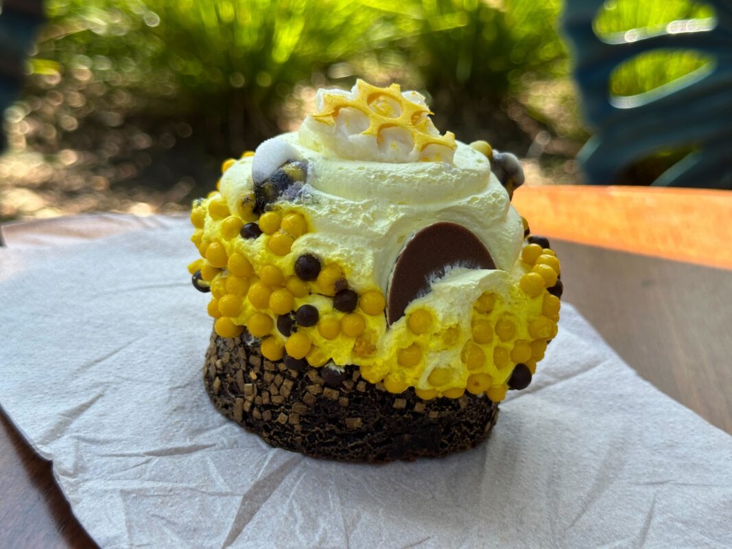 honey bee cupcake mousse earth day 2023 4982