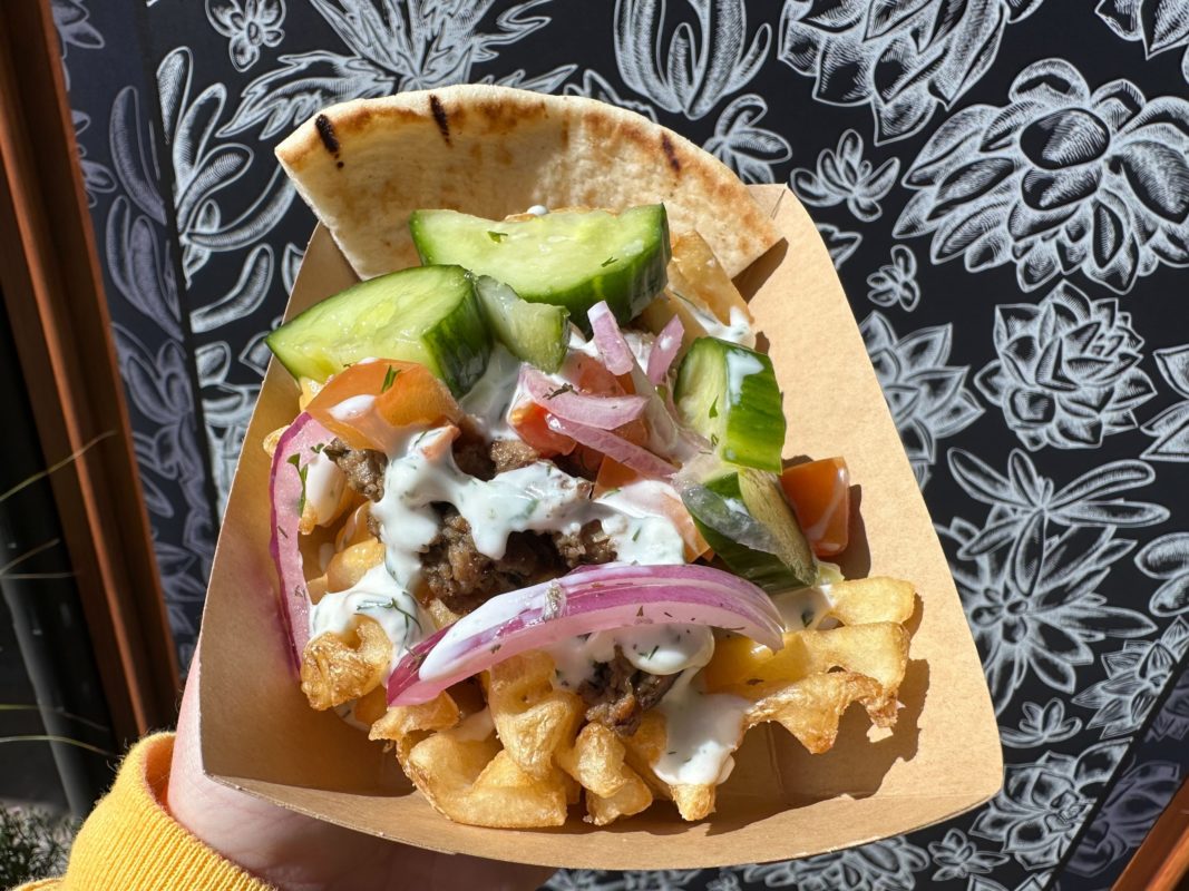 impossible gyro fries 5