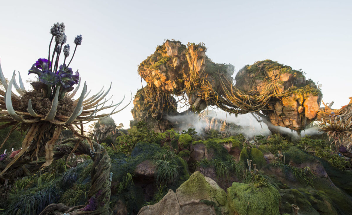 Pandora sunrise.