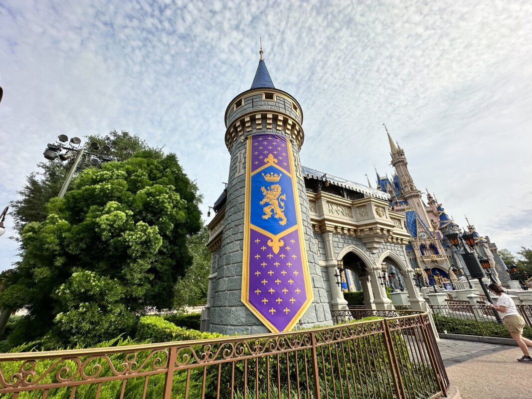 Cinderella Castle Banners Replaced 4