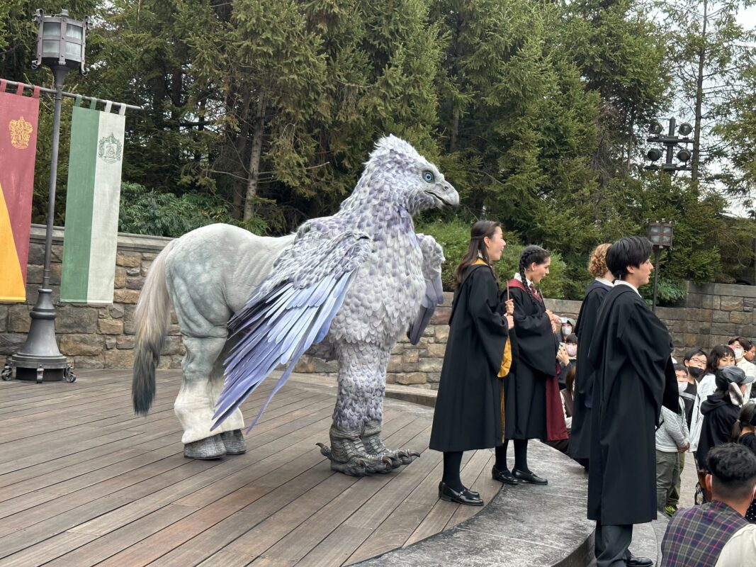 Hippogriff Magical Encounter usj 6196