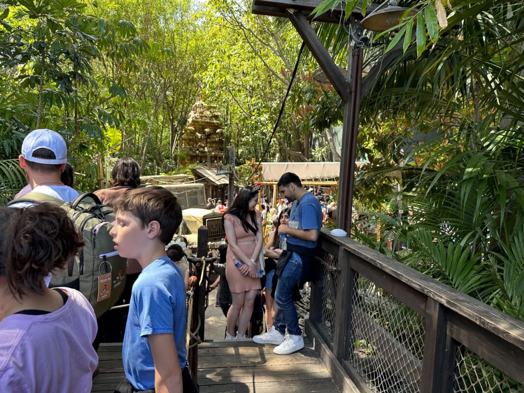 Safety lights revealed only this morning have been torn down in Disneyland.