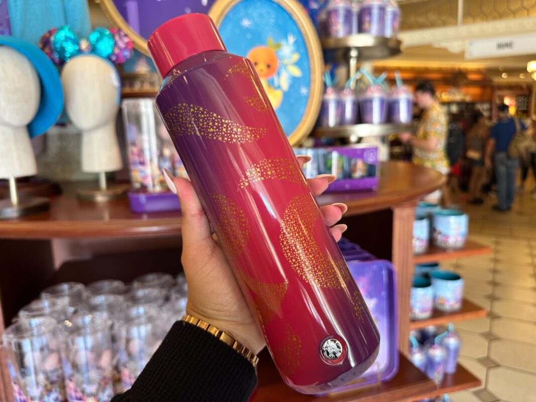 A new Starbucks thermos is available in Magic Kingdom.