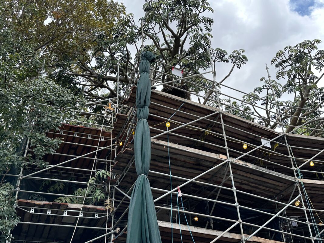 adventureland treehouse construction march 2023 9330