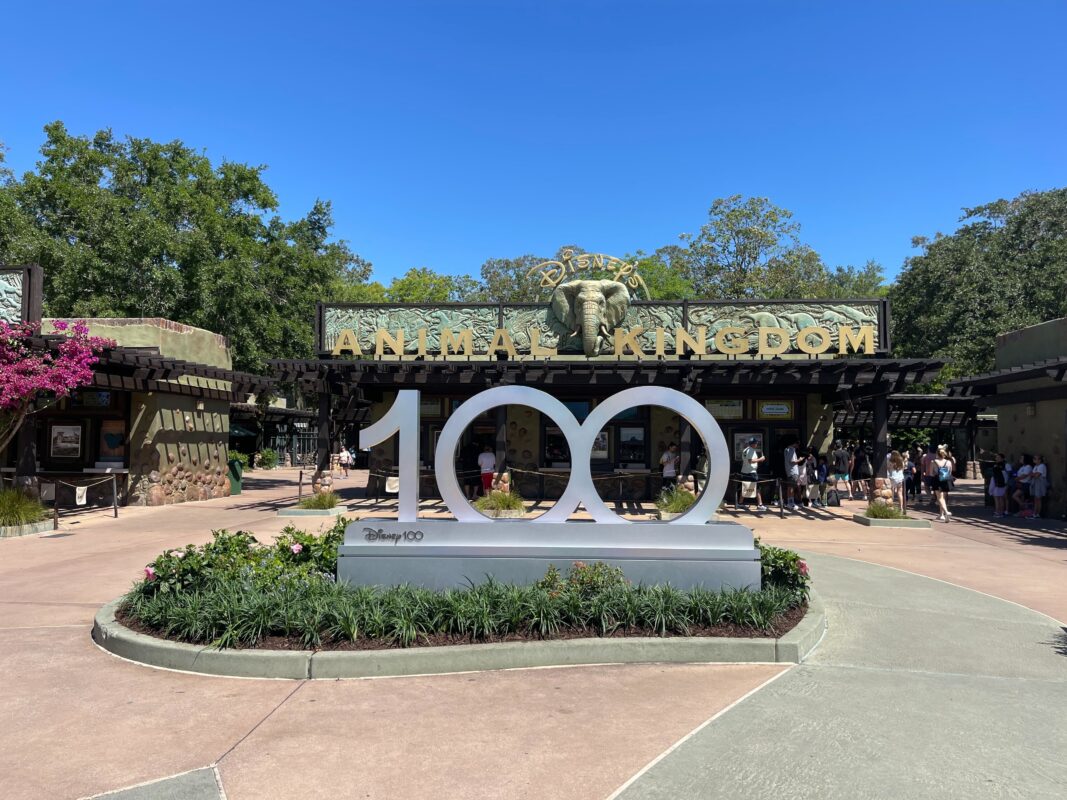 Disney 100 Decoration