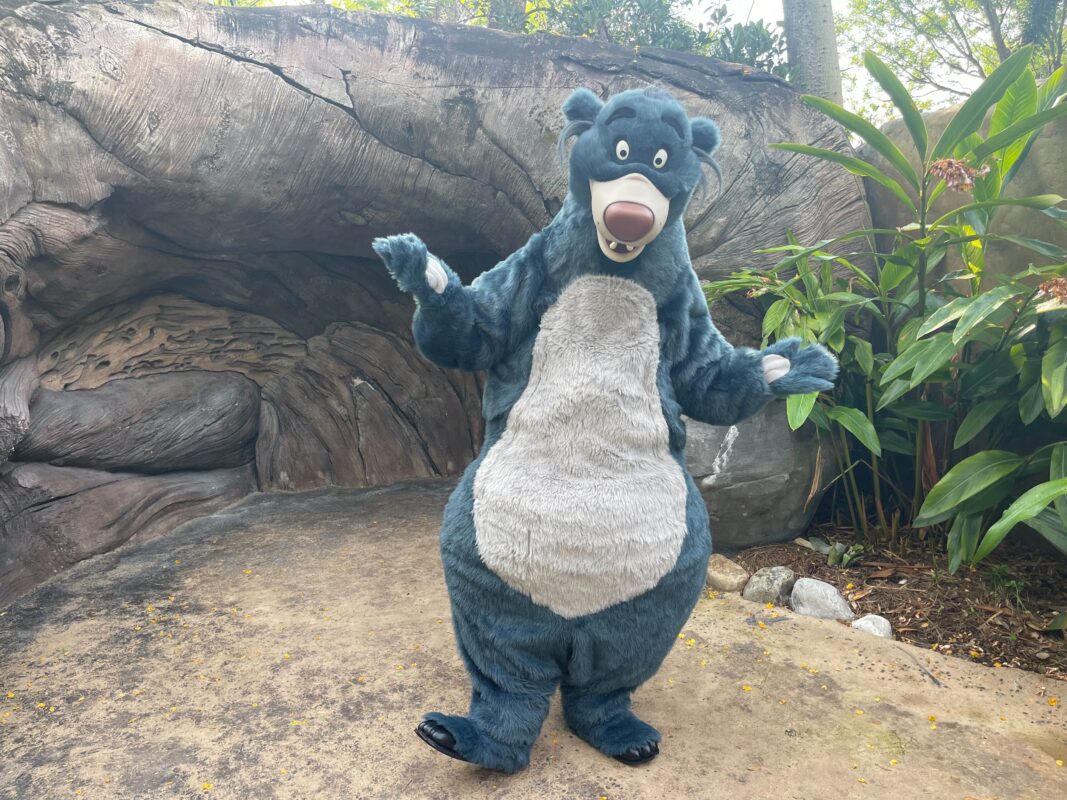 animal kingdom baloo