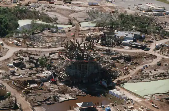 tree of life construction