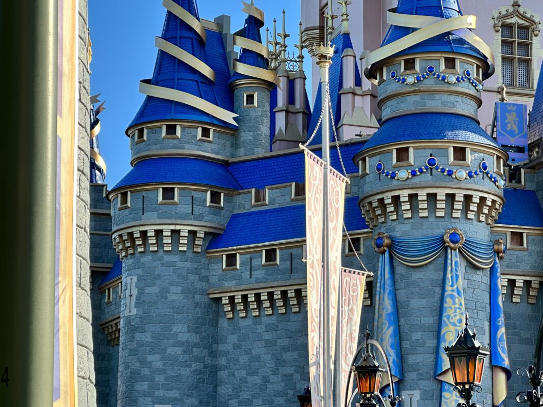 Bunting removed Cinderella Castle 2