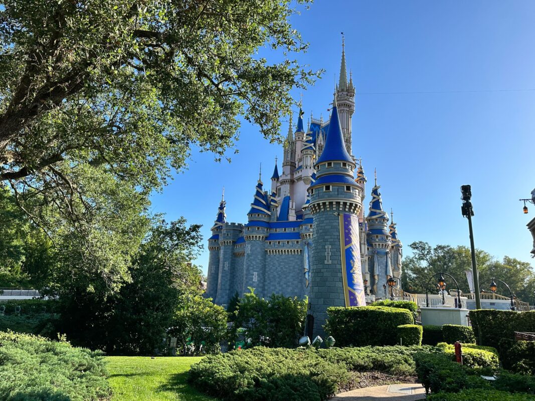 Bunting removed Cinderella Castle 4
