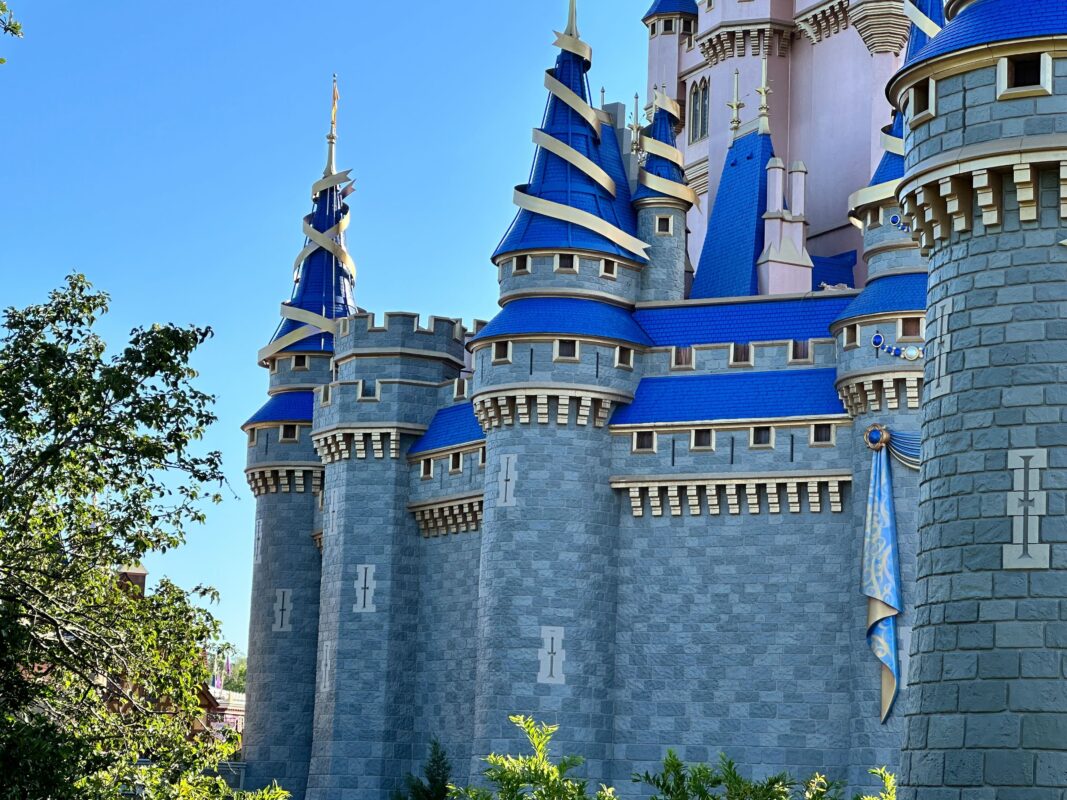 Bunting removed Cinderella Castle 5
