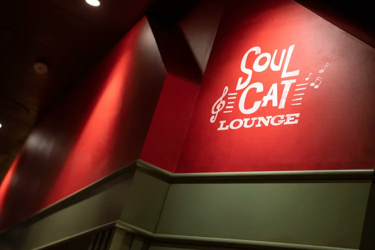 Disney Magic Soul Cat Lounge2