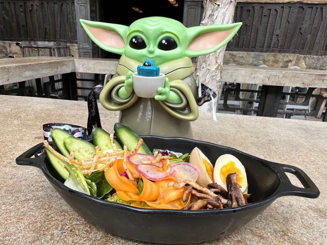 A new salad is available at Docking Bay 7 in Galaxy's Edge.