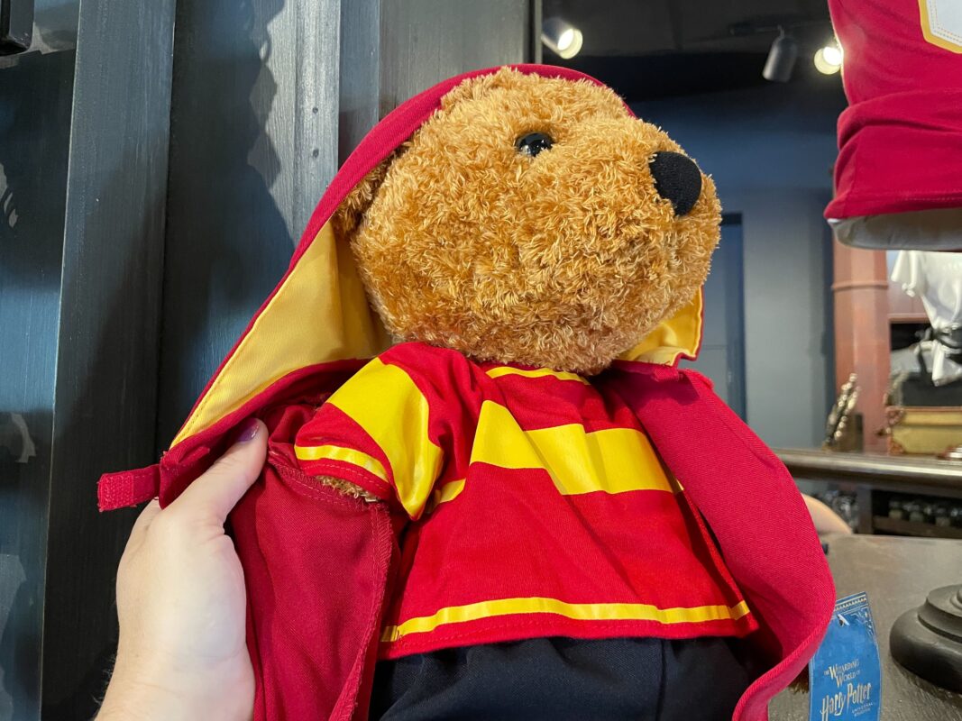 Harry Potter bear at USF 1