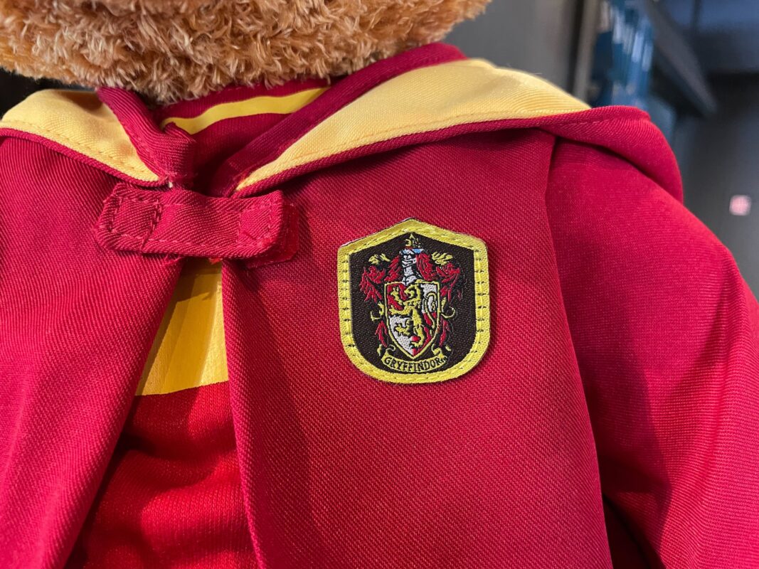 Harry Potter bear at USF 4