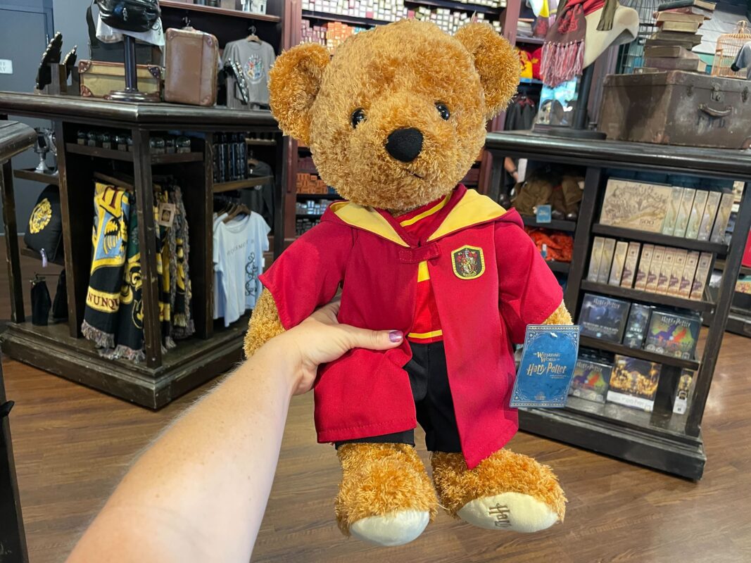 Harry Potter bear at USF 5