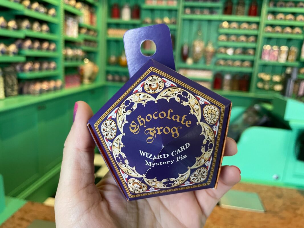 Chocolate Frog Wizard Card Mystery Pin Boxes
honeydukes