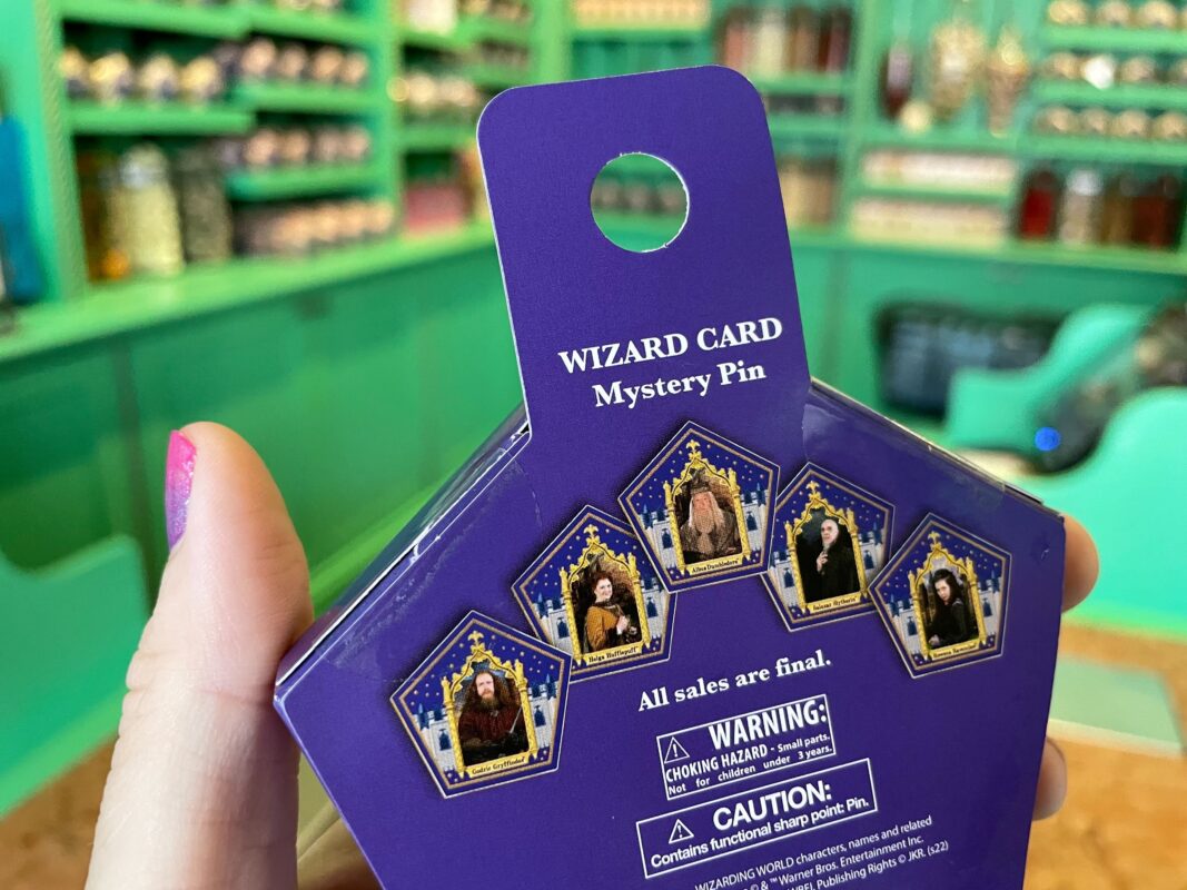 Chocolate Frog Wizard Card Mystery Pin Boxes
honeydukes