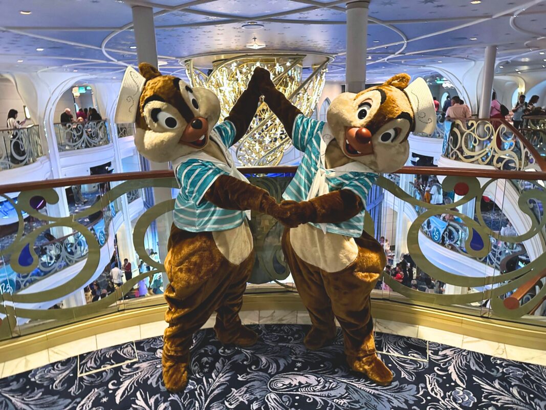 dcl disney wish chip n dale silver anniversary at sea outfit 1