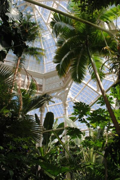 The lush gardens of The Conservatory thrive in a constant warm and humid environment.